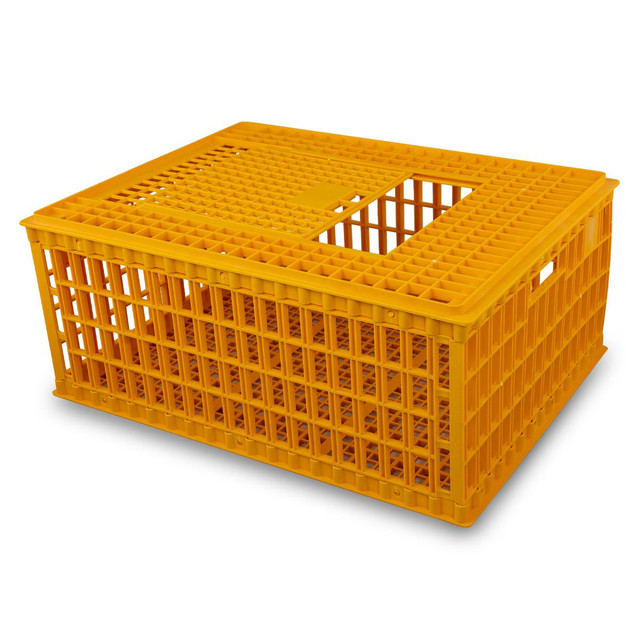 PP890 Economy Transport Crates