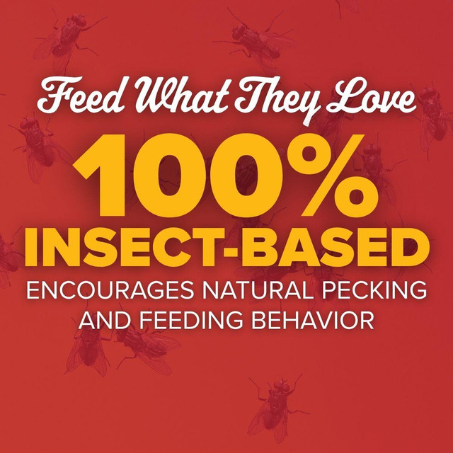 PH560 Wonder Grubs Black Soldier Fly Larvae